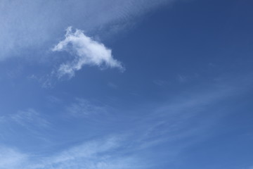 blue Sky + Cloud