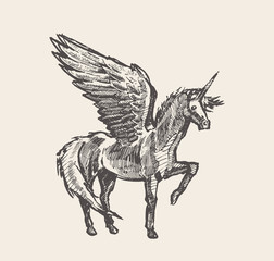 Beautiful unicorn wind vector illustration sketch © TheMountBirdStudio