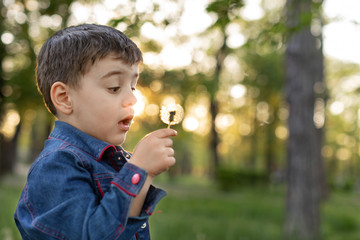 Young boy blowing out dandelions against sunset