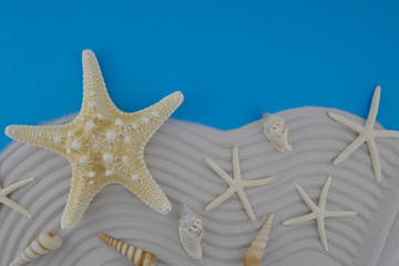 Fototapeta na wymiar Summer sea flat lay. Starfish and sea shell in the sand on a blue background.top view,copy space Summer season. .Summer time.