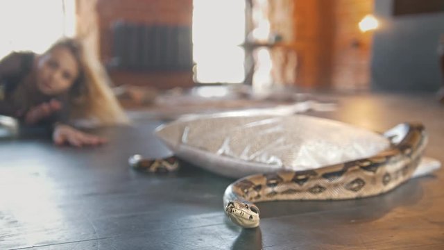 Python in a studio in front of beautiful woman dancer