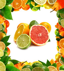 Fresh citrus