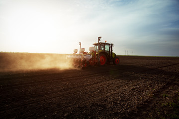 Fototapeta premium Farmer seeding crops at field