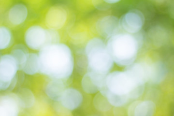 green bokeh background