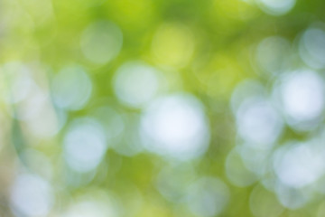 green bokeh background