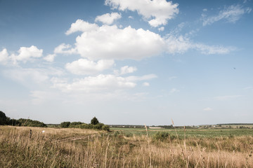 Field with yellow grass and trees away in autumn
