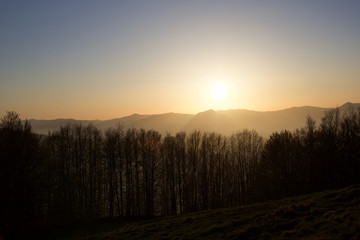 forest silhouette on the hills at sunset