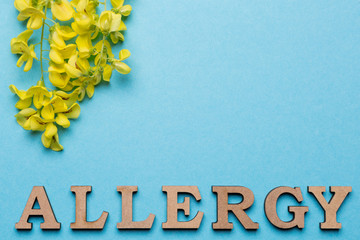 Fototapeta premium The inscription of the allergy is lined with letters on a blue background at the bottom of the frame, above are arranged yellow inflorescences, concept