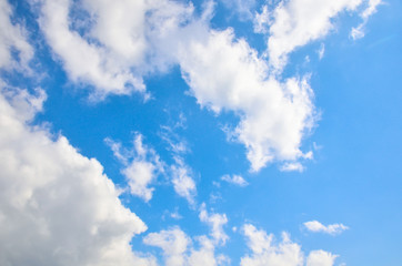 Naklejka na ściany i meble Blue sky with white summer cumulus clouds.