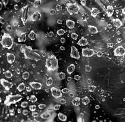 water droplets as background