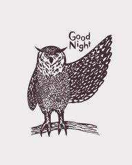 Fototapeta na wymiar Detail hand drawn owl good night