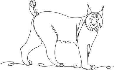 Obraz premium lynx. line drawing