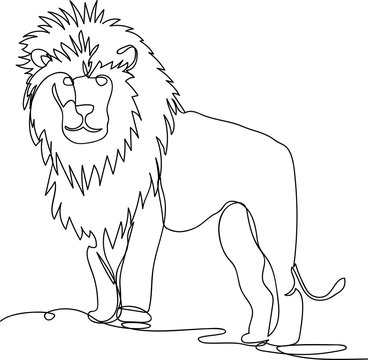 lion. line drawing