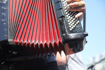 acordeon