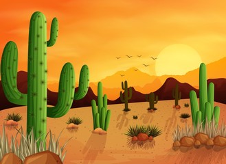 Desert landscape background with cactuses