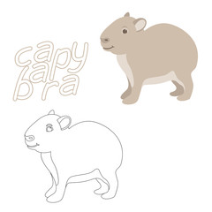 capybara  coloring book   vector illustration flat style profile side