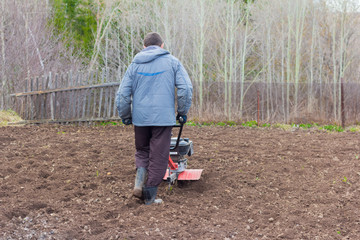 a man plowing the land with a motor-block, preparing the land for planting potatoes
