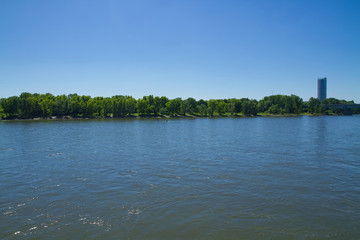 Rheinufer am Bonner Bogen