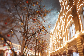 Obraz premium Moscow, Russia. Christmas decorations on the trees near the GUM