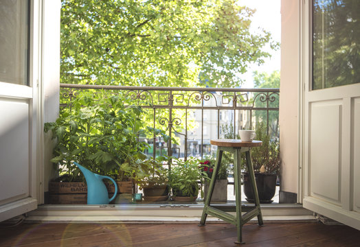 Urban Gardening auf dem Balkon