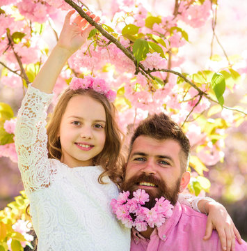 Girlish leisure concept. Girl with dad near sakura flowers on spring day. Father and daughter on happy faces hugs, sakura background. Child and man with tender pink flowers in beard, wreath on head.