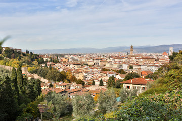 Naklejka premium Florenz II