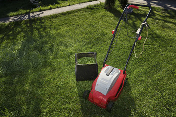 Mowing the lawn with electric red mower