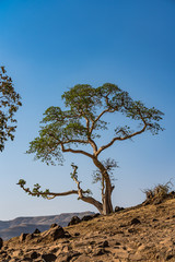 Äthiopien - Am blauen Nil bei Tis Issat