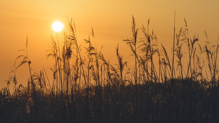 View of Sun setting behind Long Grass A, shallow depth of field background nature photography spring 2018