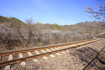 the train tracks