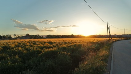 SAMSUNG CAMERA PICTURES © Pedro