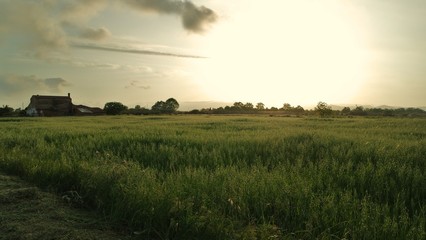 SAMSUNG CAMERA PICTURES © Pedro