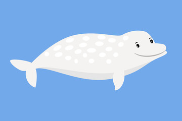 White whale cute sea animal