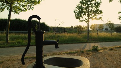 SAMSUNG CAMERA PICTURES © Pedro