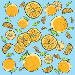 オレンジ 手描きの線画