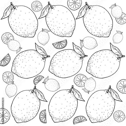 美しい花の画像 ベスト50 レモン イラスト 白黒 美しい花の画像 ベスト50 レモン イラスト 白黒