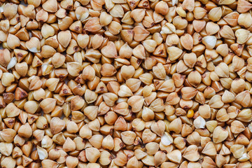 Background from buckwheat grain. Closeup