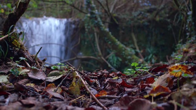 cascata - Giardino dei cinque sensi
