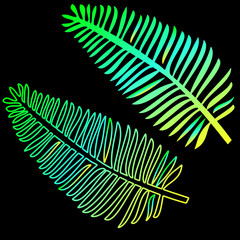 Fototapeta premium The model of the neon leaves of the fern is an exotic plant. Trend of the season is tropical leaves.
