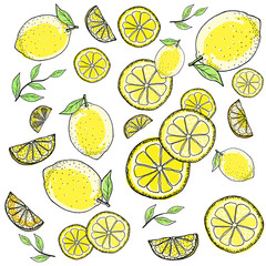 レモン 手描きの線画