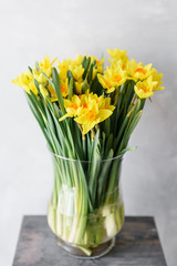 Posy of bright yellow spring daffodils in a vase placed in the living room as a decoration. Vertical photo, Wallpaper