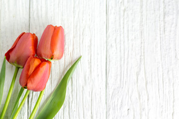 Three red tulips on a white wooden table.