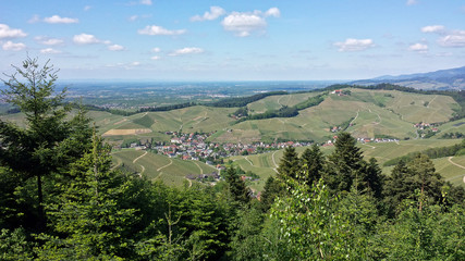 Durbach Frühling