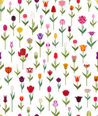 Tulip varieties flat seamless pattern. Garden flower and house plant