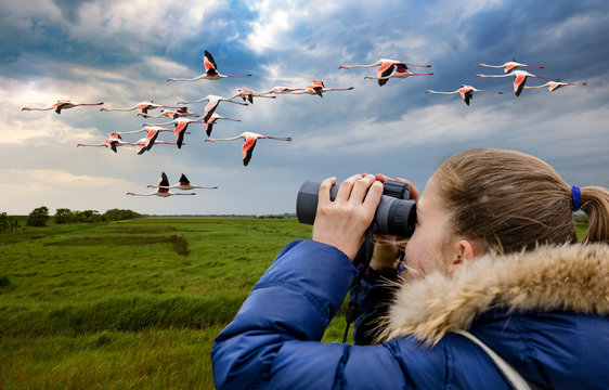 Young girl bird watching