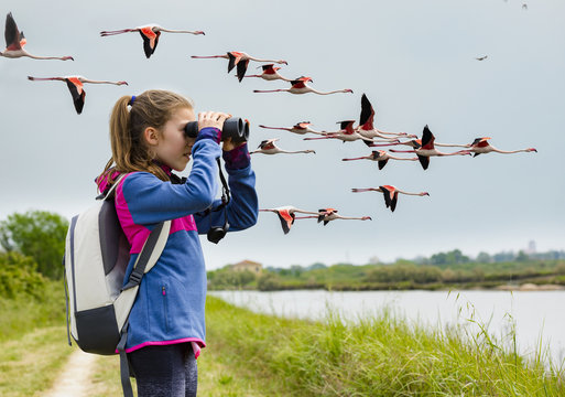 Young Girl Bird Watching