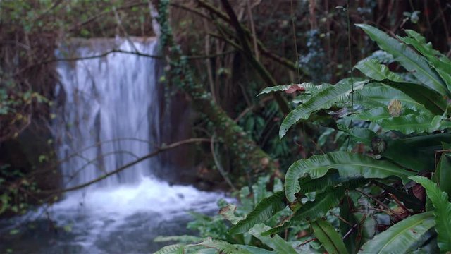 cascata - Giardino dei cinque sensi
