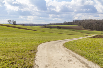 Obraz premium idyllic agricultural scenery at early spring time