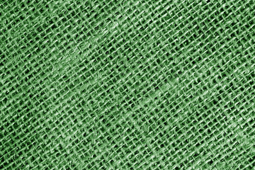 Cotton fabric texture in green color.