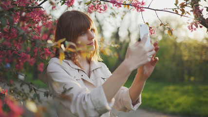 Young attractive red-haired woman taking photos of spring flowers of cherry or sakura blossoms on smartphone at sunset in park 